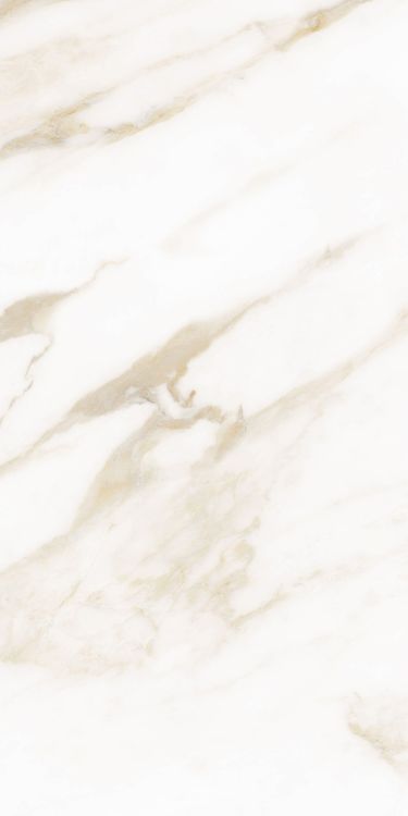 Classy Warm White Matte 12 x 24